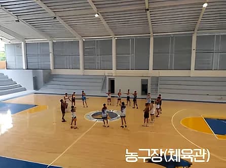 실내 체육관